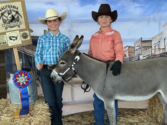 OutWest Long Ears Foundation Miniature Donkey Show