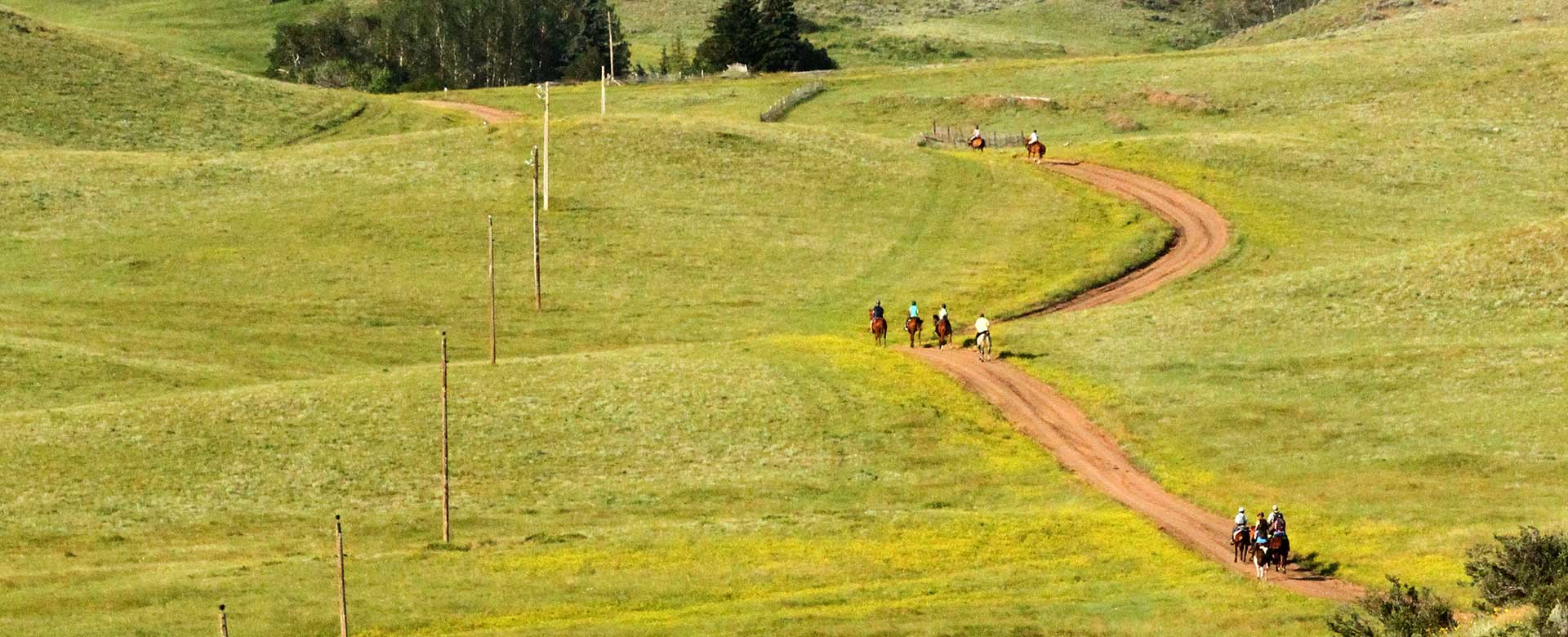 AERC Cache Creek Endurance Ride