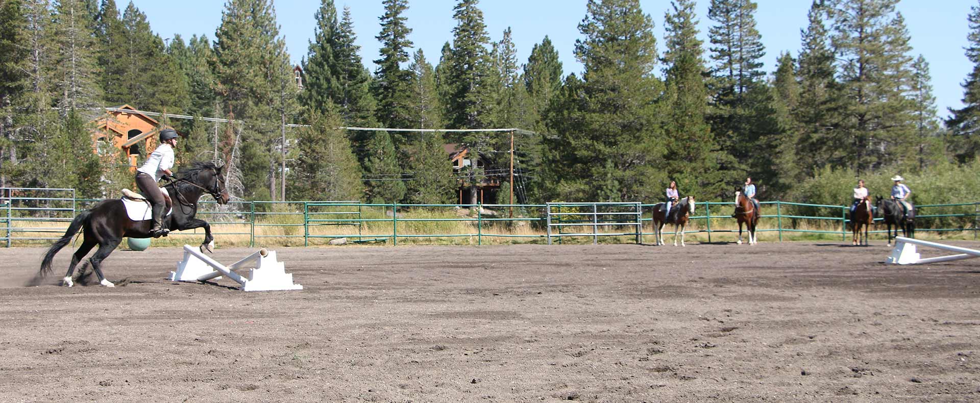 Tahoe Donner Horse Fair (Inaugural)