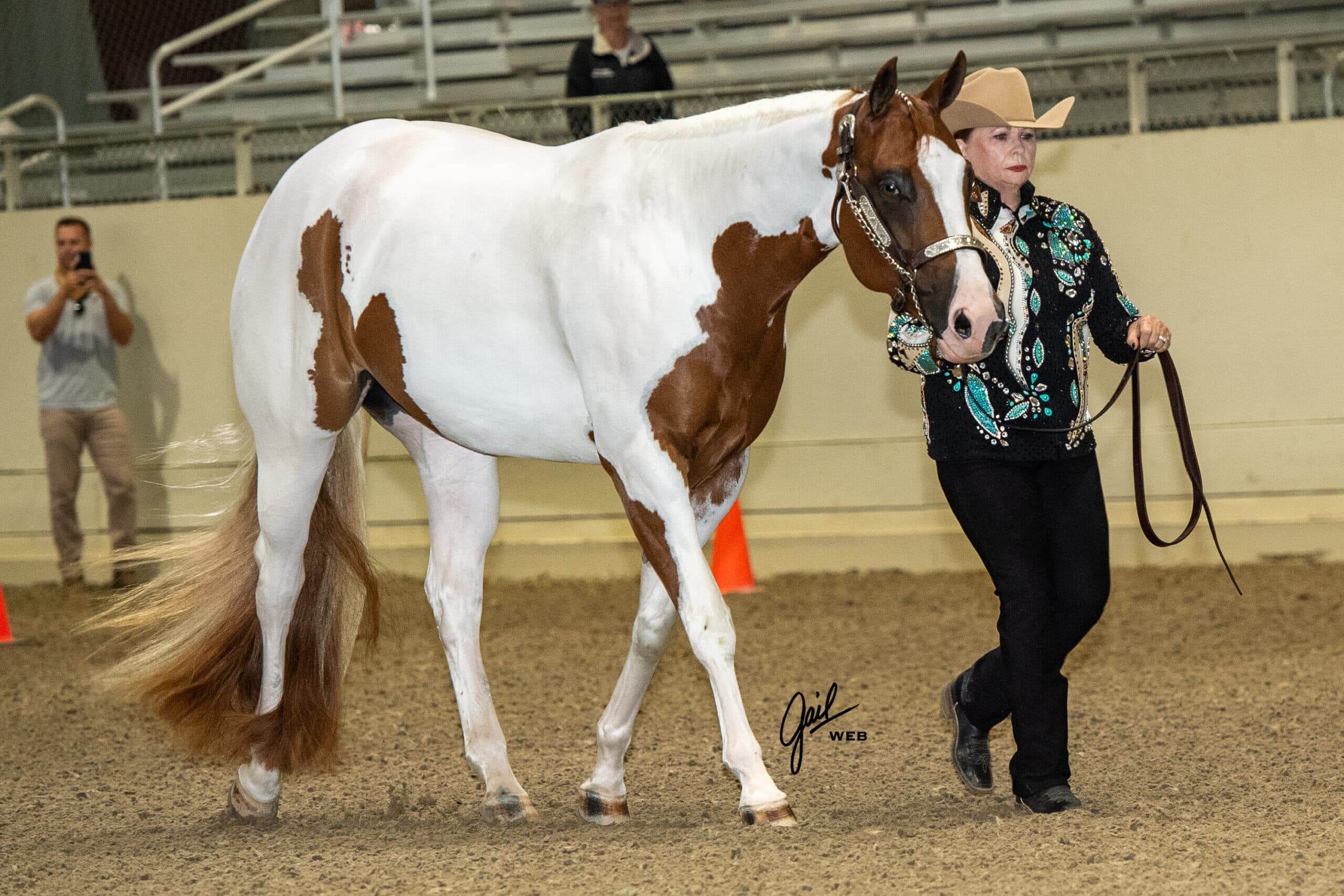 San Joaquin Paint Horse Club — APHA POR & All-Breed