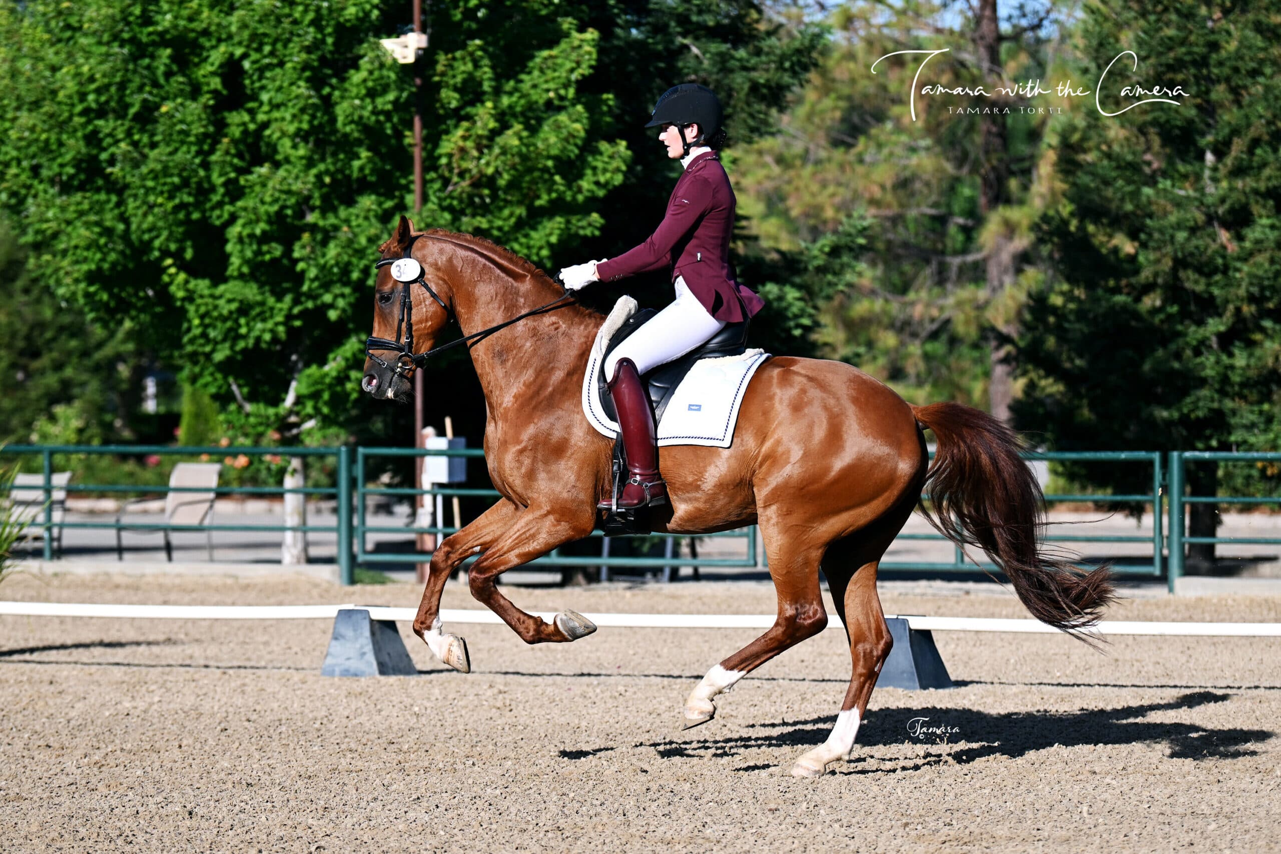 Golden State Dressage Classic / Northern CA Jr/YR / RAAC