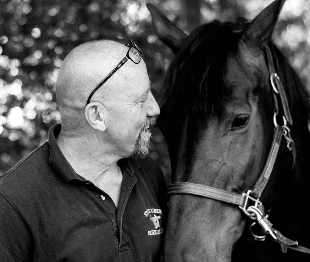 Steve Wiberg Horseshoeing