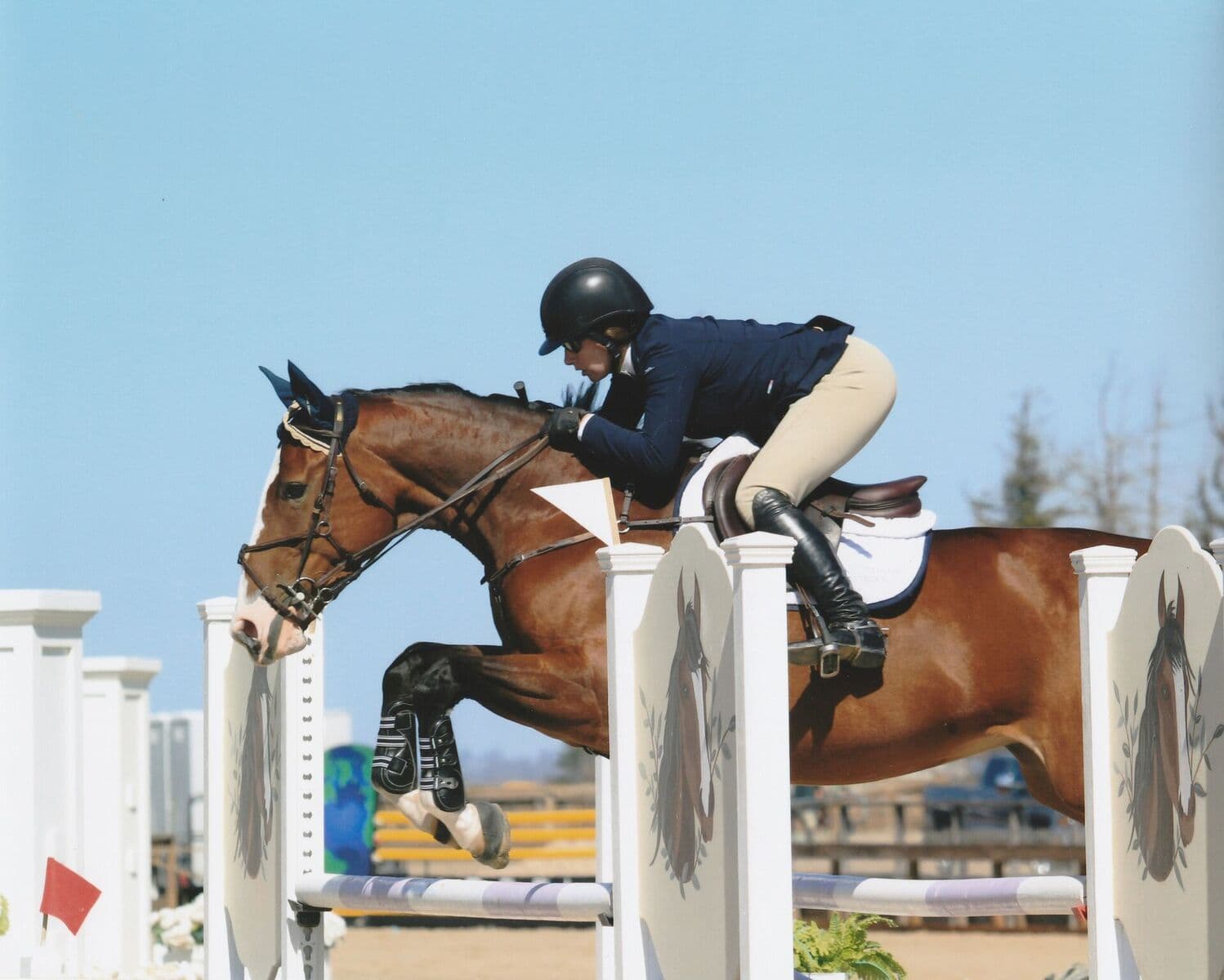 Clean Flight Equestrian