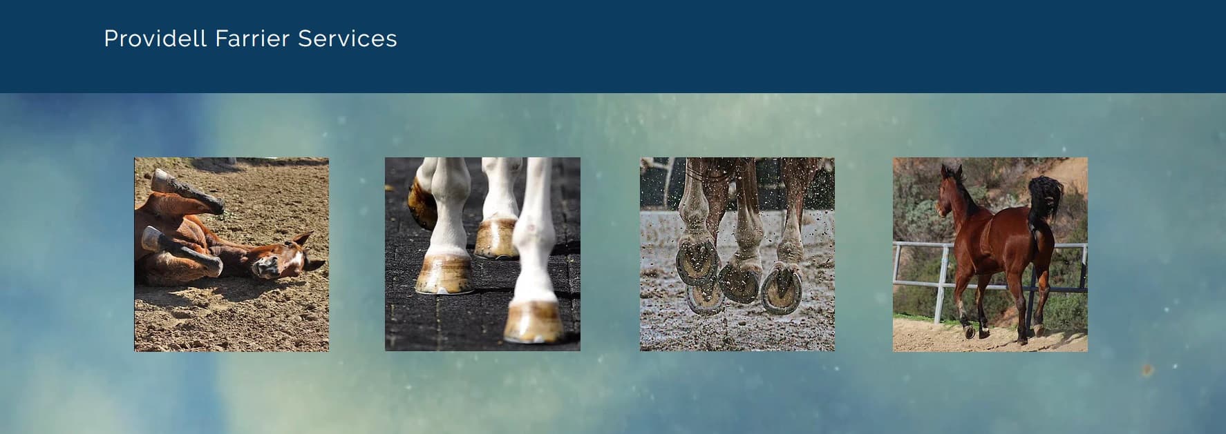 Providell Farrier Service