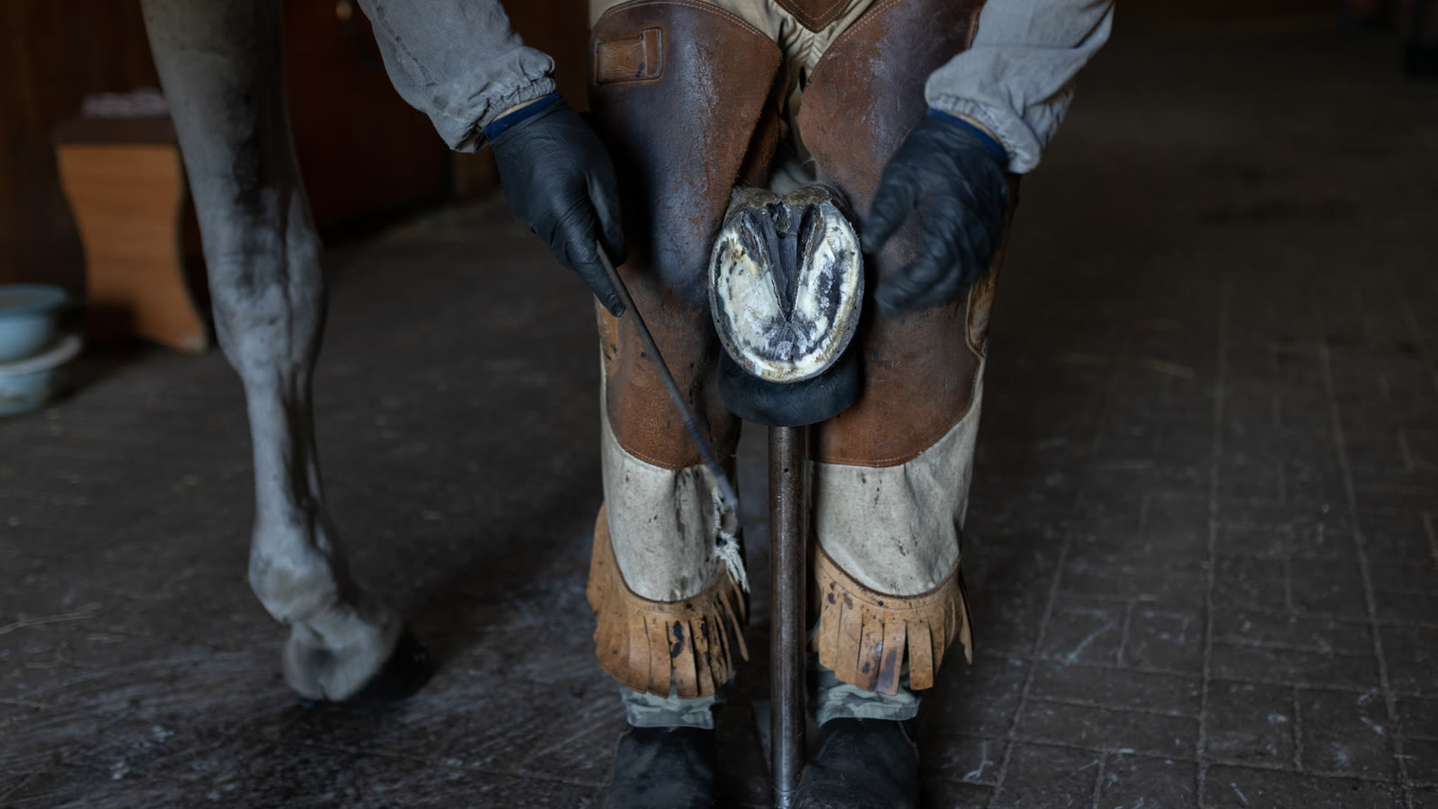 Farrier working on a horse's hoof